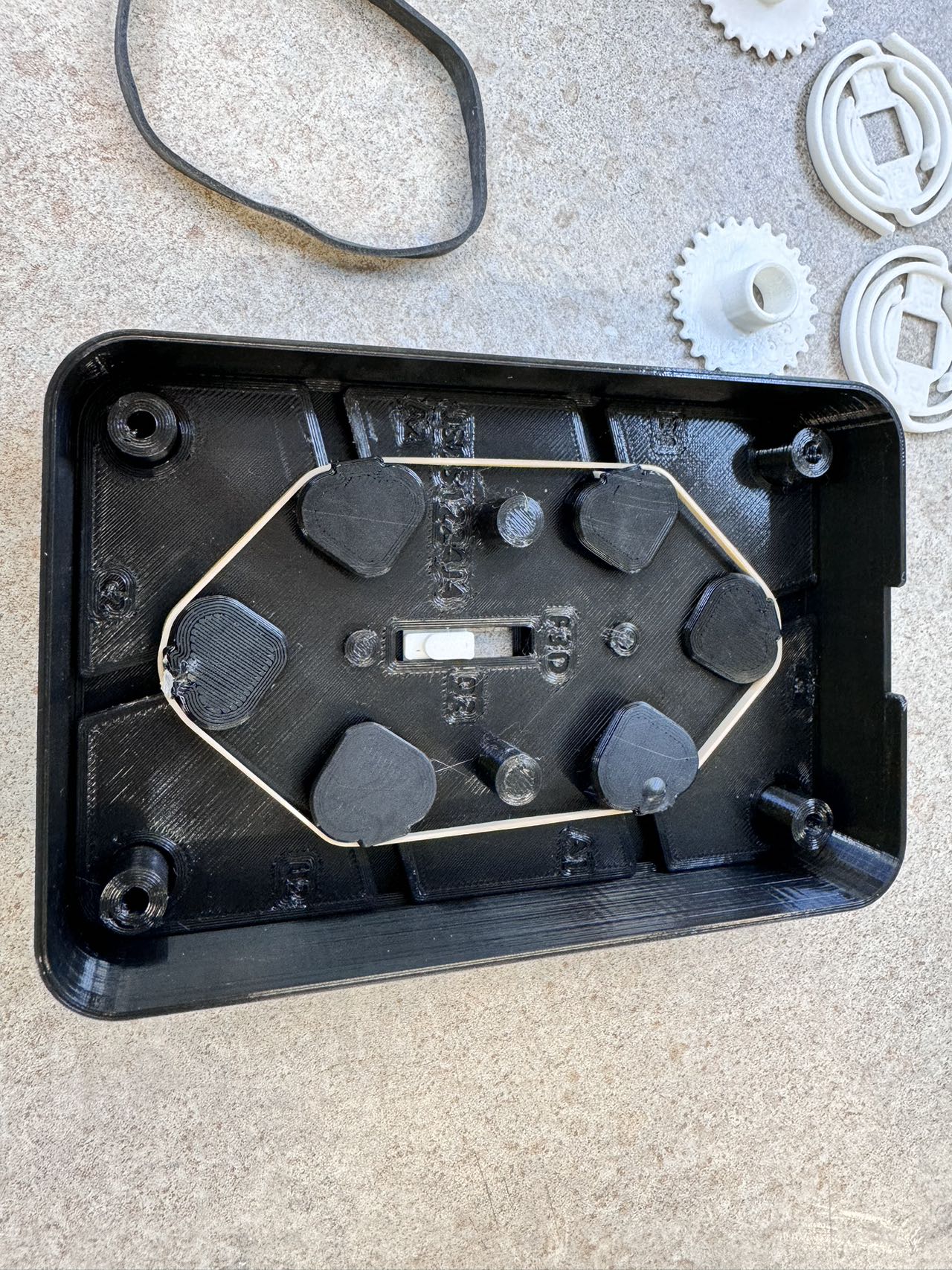 Number Plate Backside